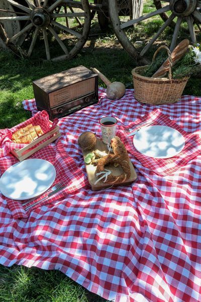 Скатертина з серветками Istanbul Piknik Set 140х180 см Happy Days Kirmizi 33216-К фото