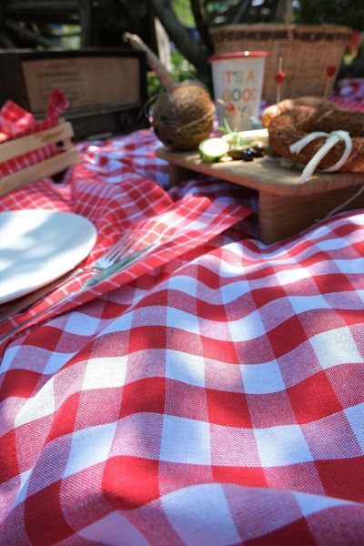 Скатертина з серветками Istanbul Piknik Set 140х180 см Happy Days Kirmizi 33216-К фото