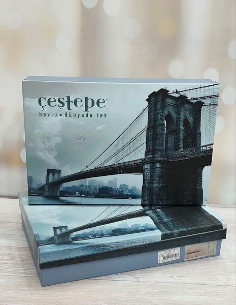 Подарунковий набір махрових рушників Cestepe Vip Catton, бежевий 1000102 фото