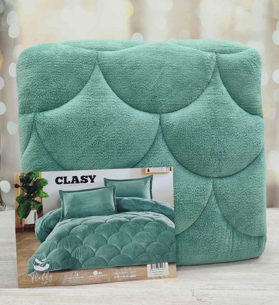 Покрывало плюшевое двухстороннее Clasy Fluffy V23 195х215 см евро зеленый 1075551 фото
