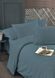 Постільна білизна Altinbasak Poplin Infinity Breezeway євро 40464-К фото 1