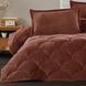 Покрывало плюшевое двухстороннее Clasy Fluffy V10 195х215 см евро красный 1005556 фото 2