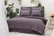 Постільна білизна Altinbasak Poplin Infinity Berry євро 40533-К фото 1